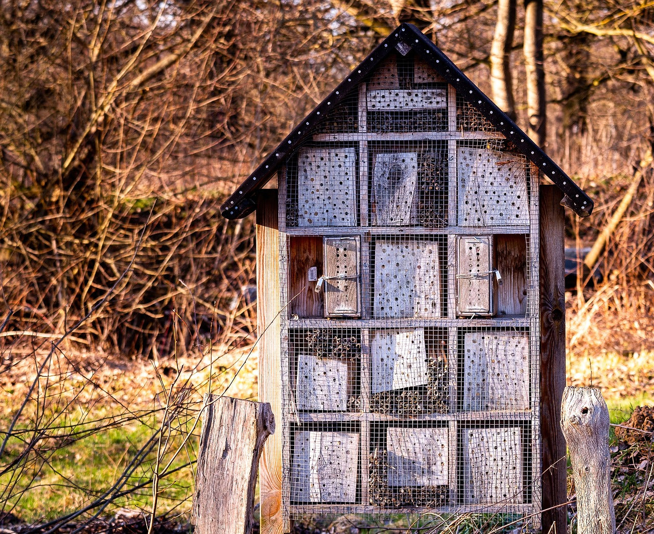 Wildlife Care: Expert Guide to Maintaining Bat, Owl, and Bee Houses Image by Jürgen from Pixabay
