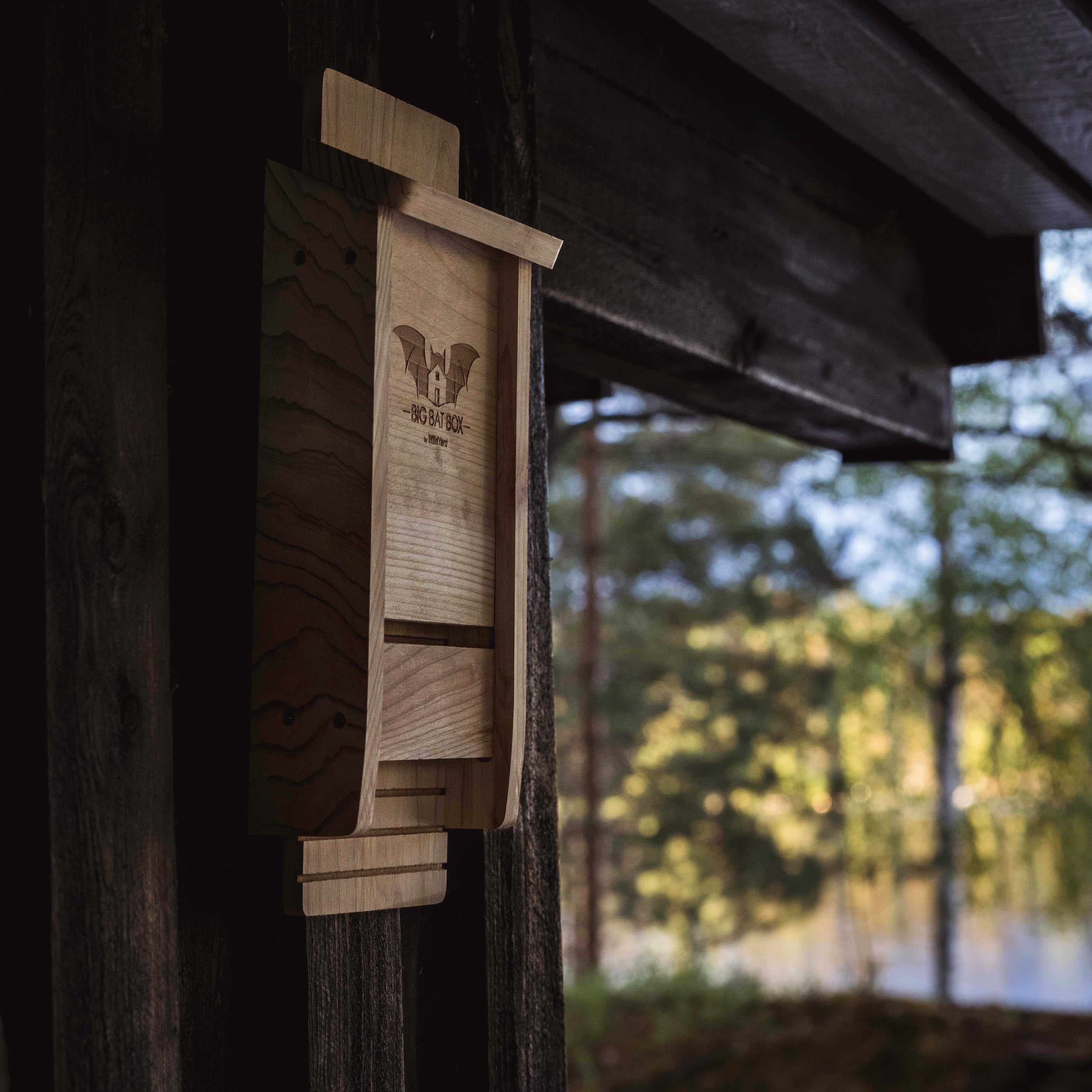 Single Chamber Cedar Bat House by Wildyard mounted outdoors for eco-friendly pest control