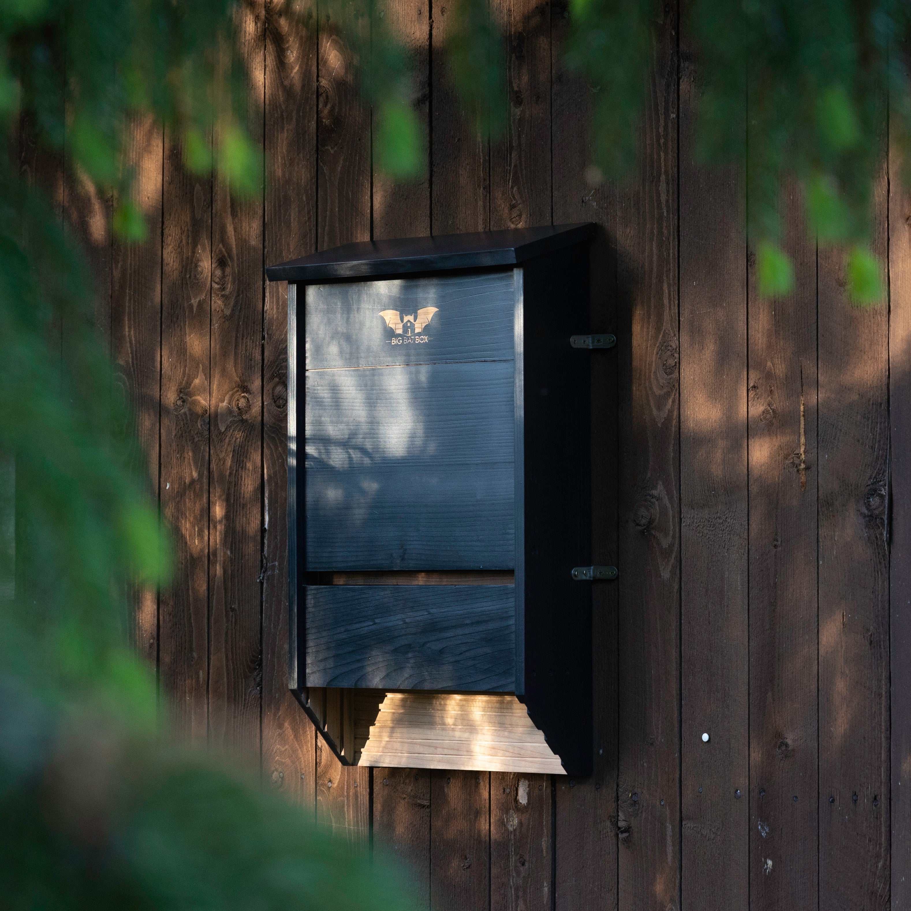Three chamber black cedar bat house mounted on wooden wall for bat conservation