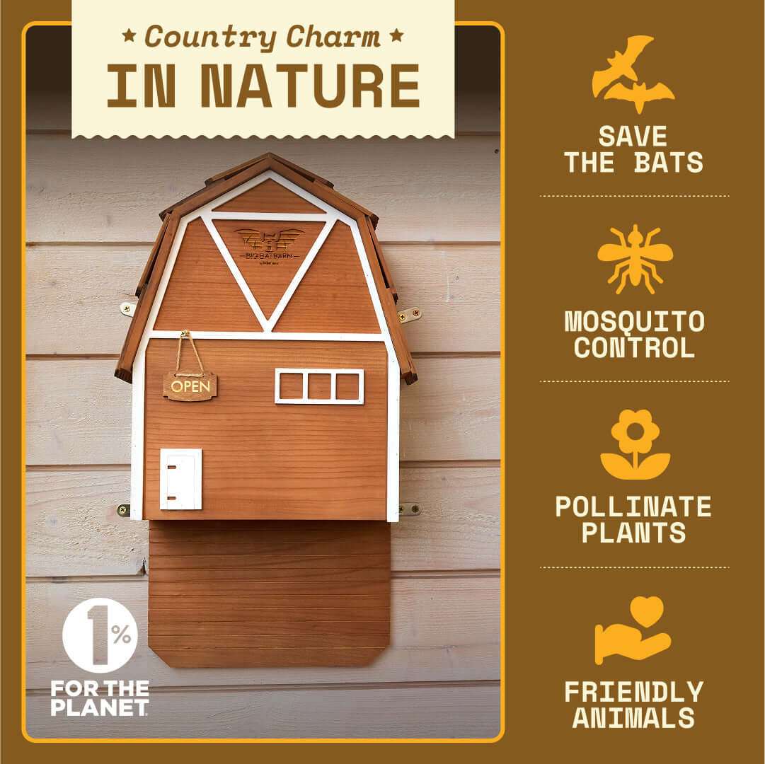 Three-chamber Big Bat Barn made of cedar for housing up to 150 bats, offering mosquito control and eco-friendly pest management