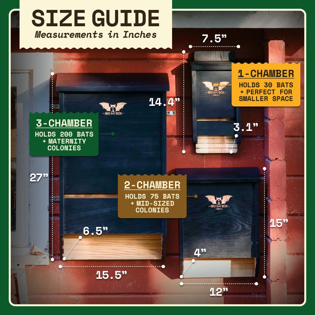 Bat House Chamber number size guide