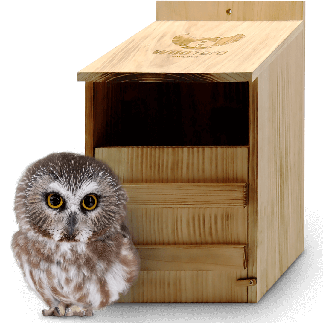 Eco-friendly wooden owl box with weather-resistant design and insulation for safe owl roosting in gardens and forests
