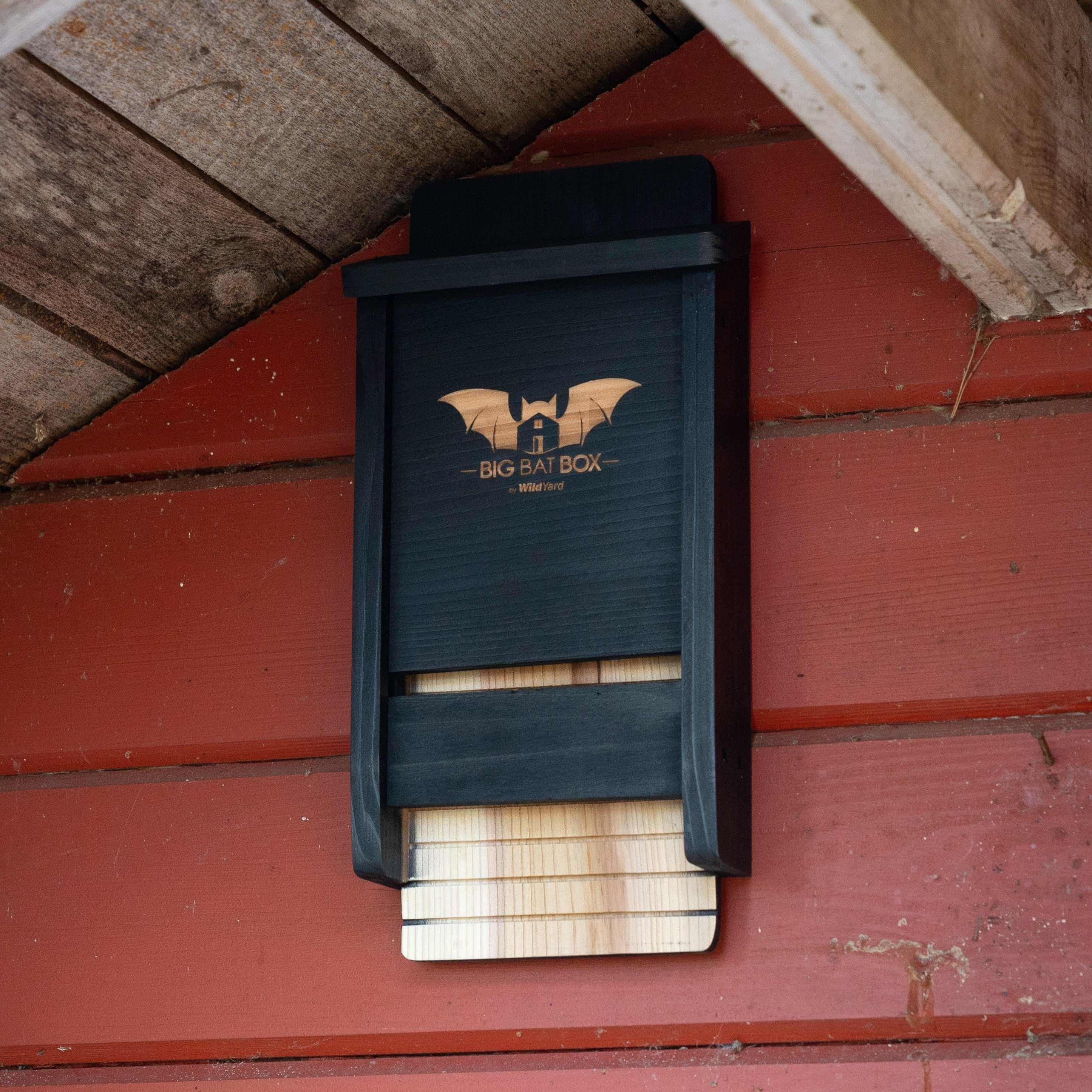 black single chamber bat house mounted on red wooden wall for bat conservation and mosquito control
