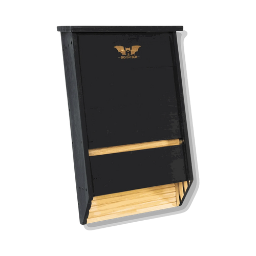 Dreikammer-Fledermauskasten – Premium Zedernholz (Schwarz)