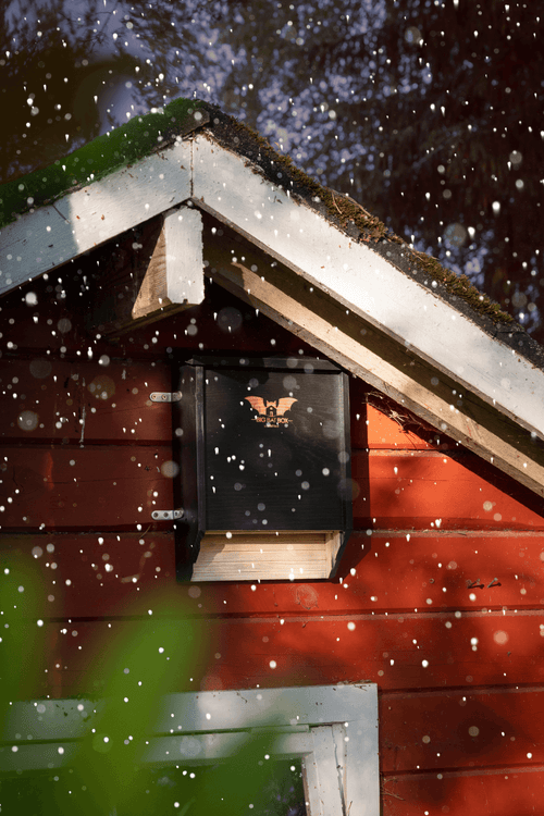 Sustainable Bat Habitat for Your Backyard: The Complete Guide
