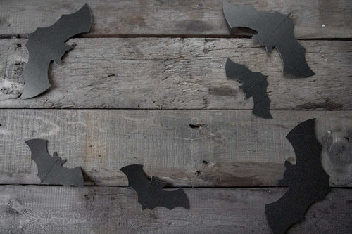 How to Build a Bat Box: Materials, Chamber Spacing and Sealing
