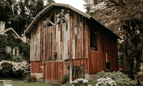 Where to Put a Bat House in Your Yard: The Complete Placement Guide