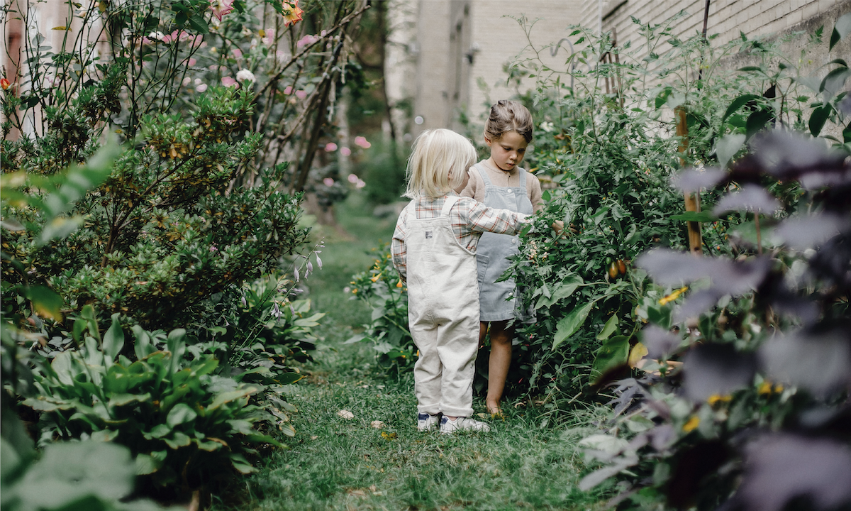 WHY YOU NEED A BAT HOUSE: YOUR GO-TO GUIDE