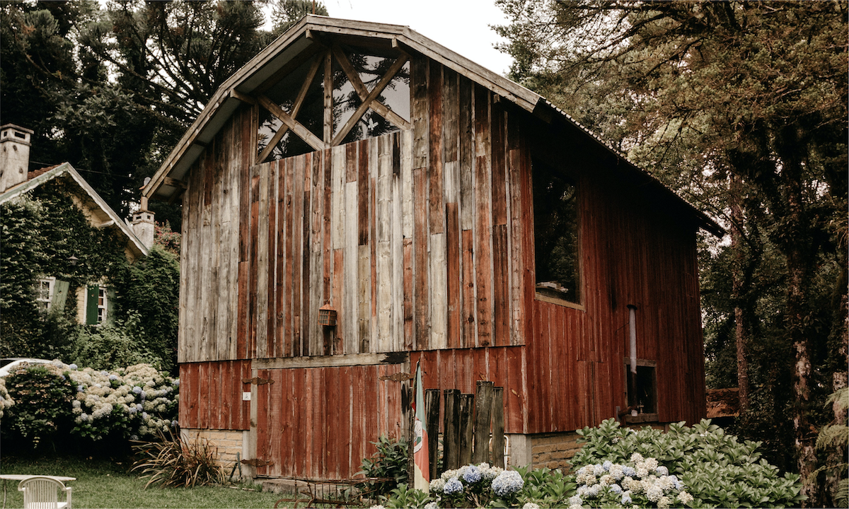 Where to Put a Bat House in your yard