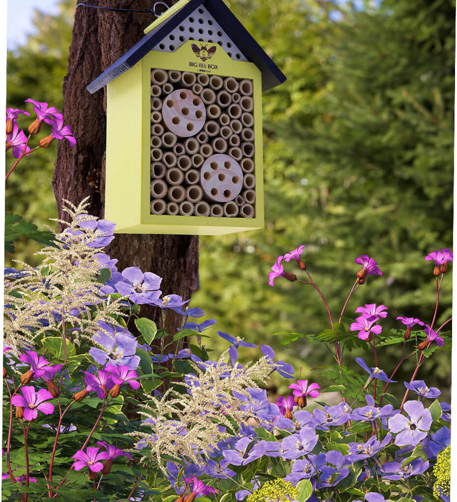 Where to Hang a Bee House: Height, Aspect, Shelter and Timing
