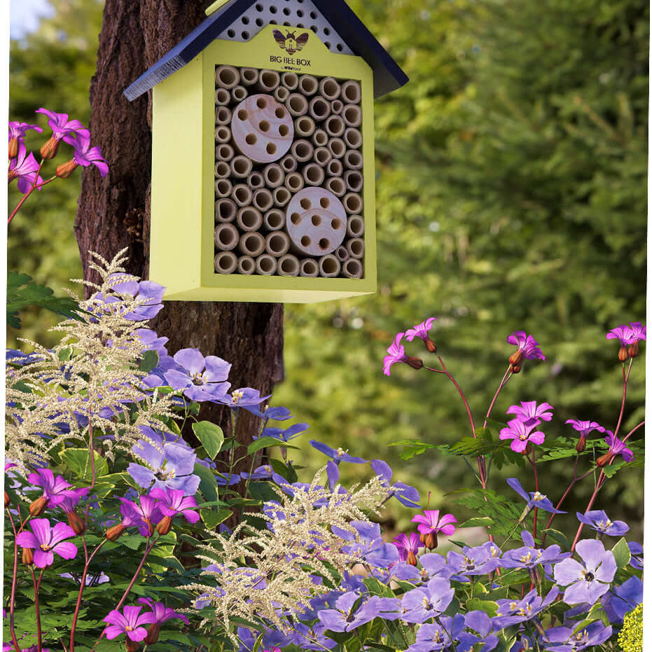 Where to Hang a Bee House: Height, Aspect, Shelter and Timing