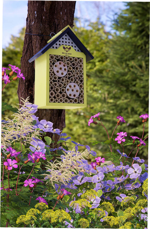 Where to Hang a Bee House: Height, Aspect, Shelter and Timing