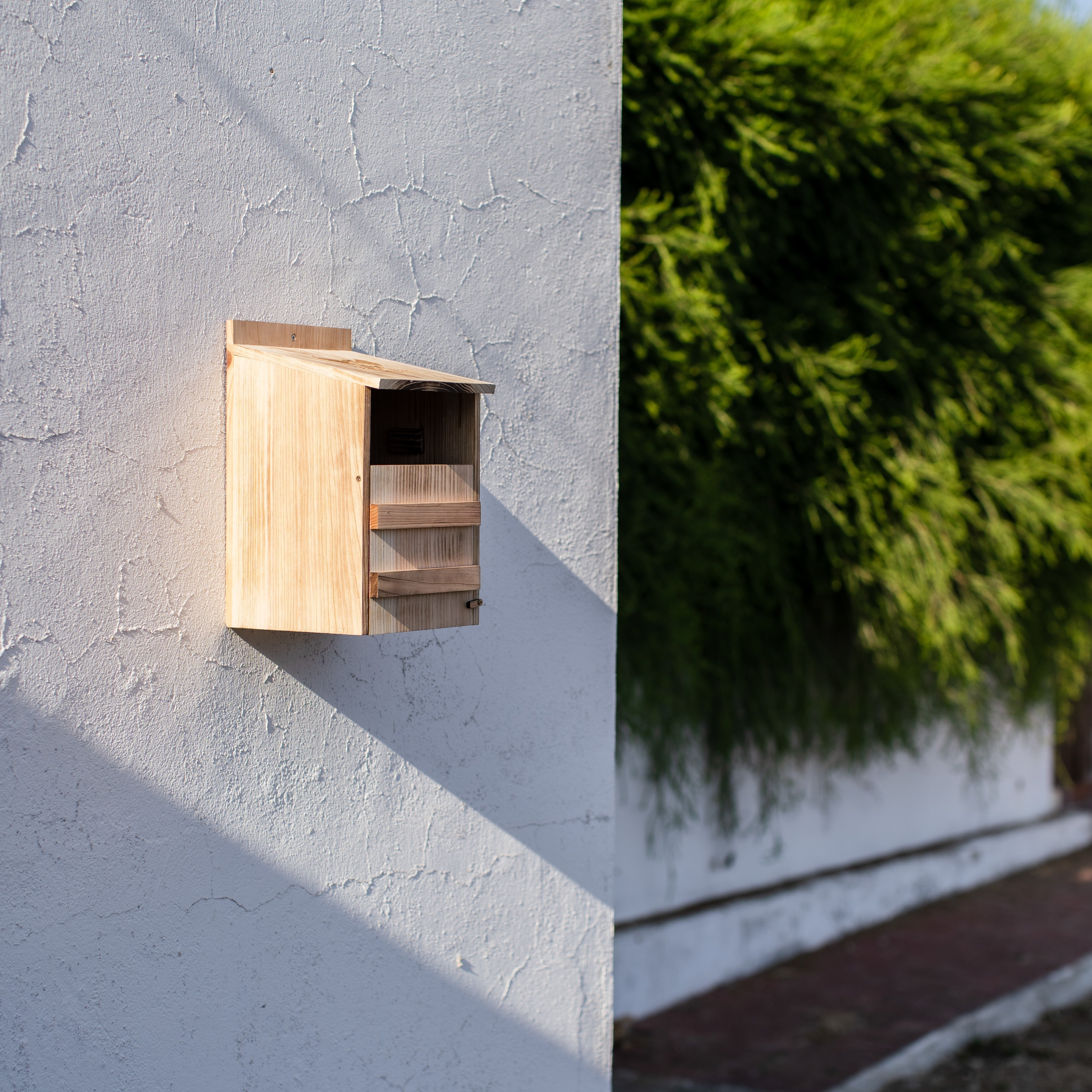 Why Owl Boxes Are the Best Natural Pest Control