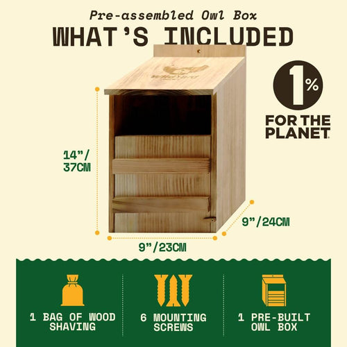 Owl Box Buyer's Guide: How to Choose, Place & Attract Owls