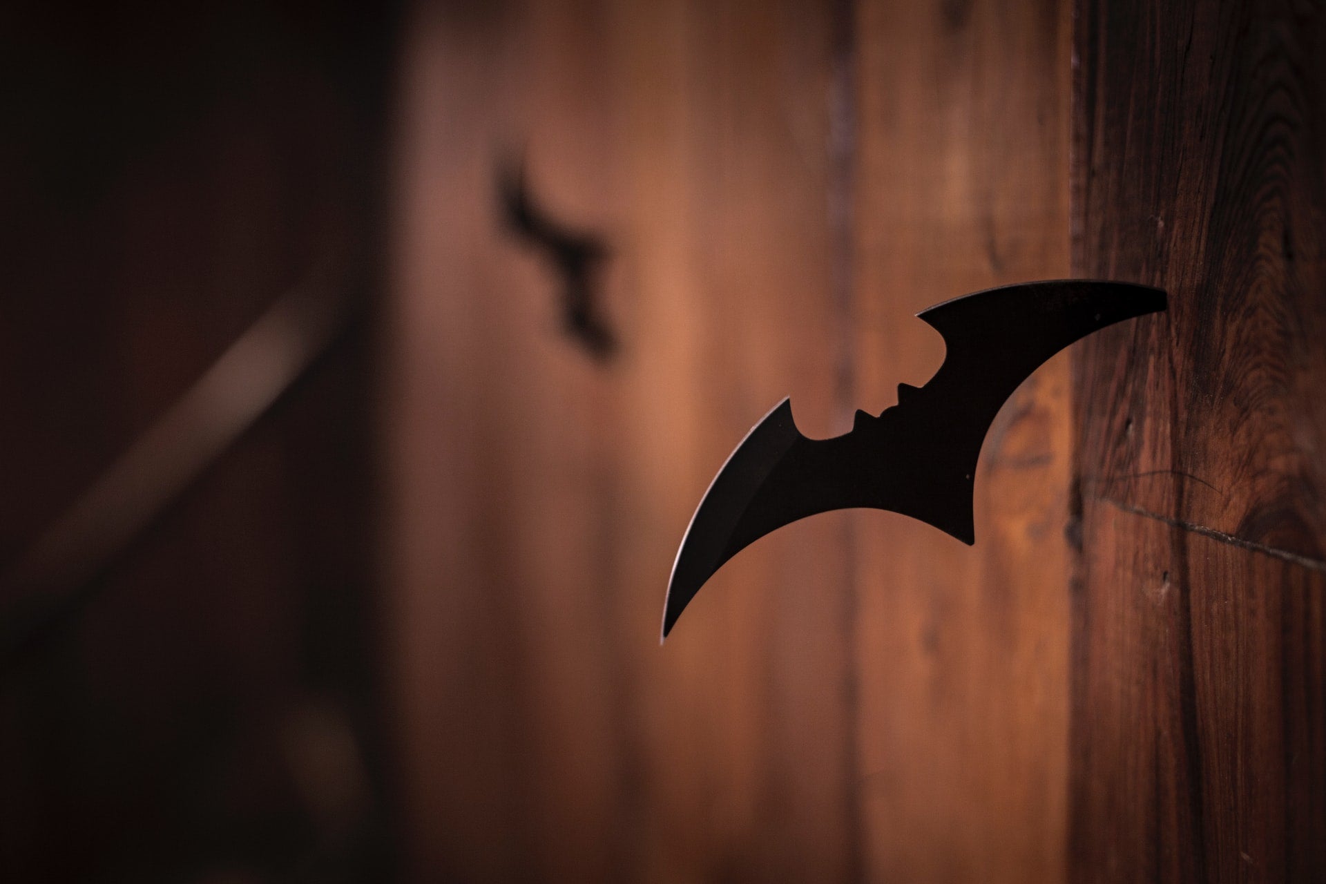 5 Best Tips for Bat House Maintenance 