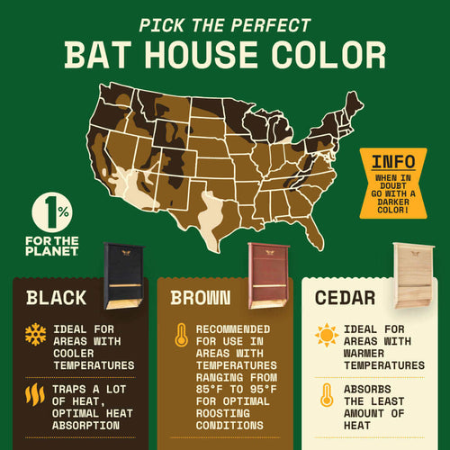 Where to Mount a Bat House in the USA: Climate Zone Guide