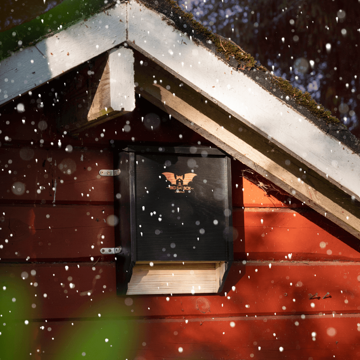 Eco Friendly Bat House for Backyard: The Complete Guide