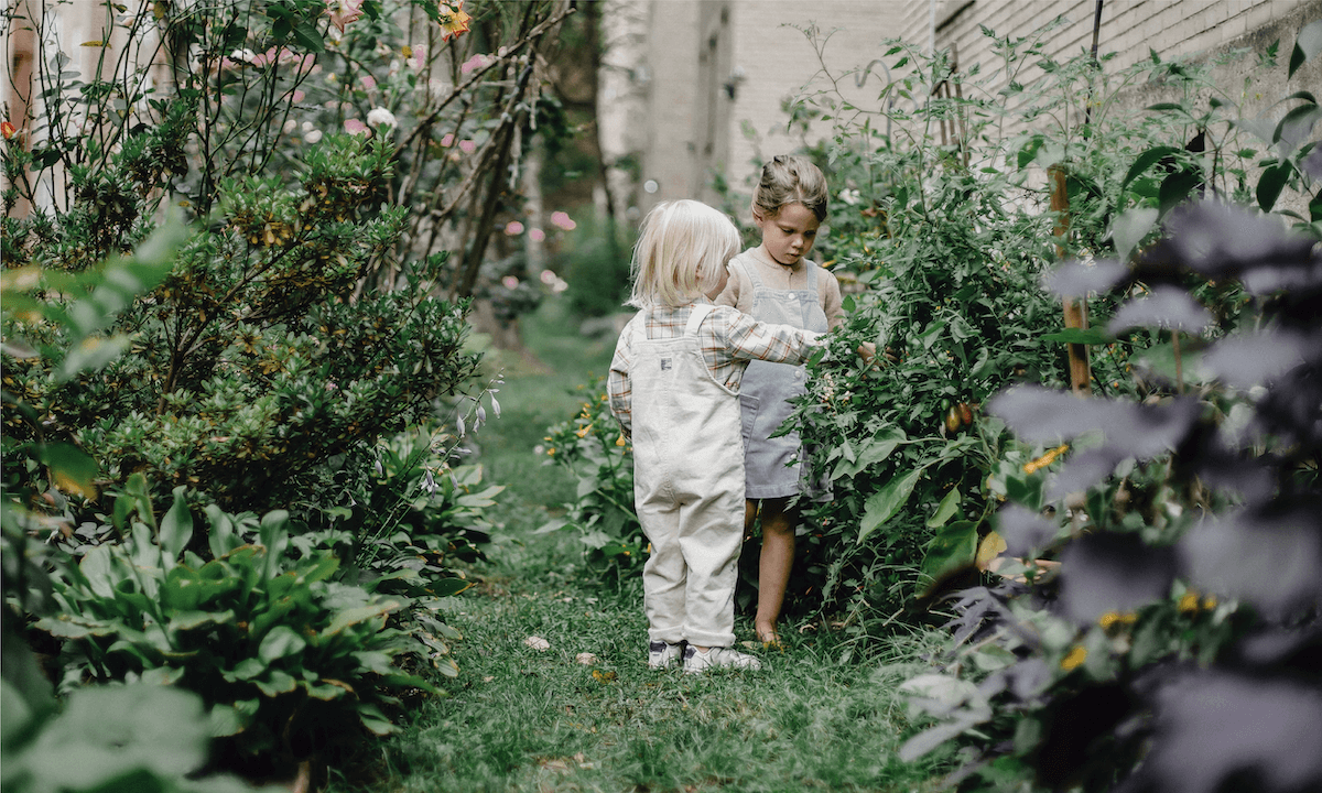 WHY YOU NEED A BAT HOUSE: YOUR GO-TO GUIDE