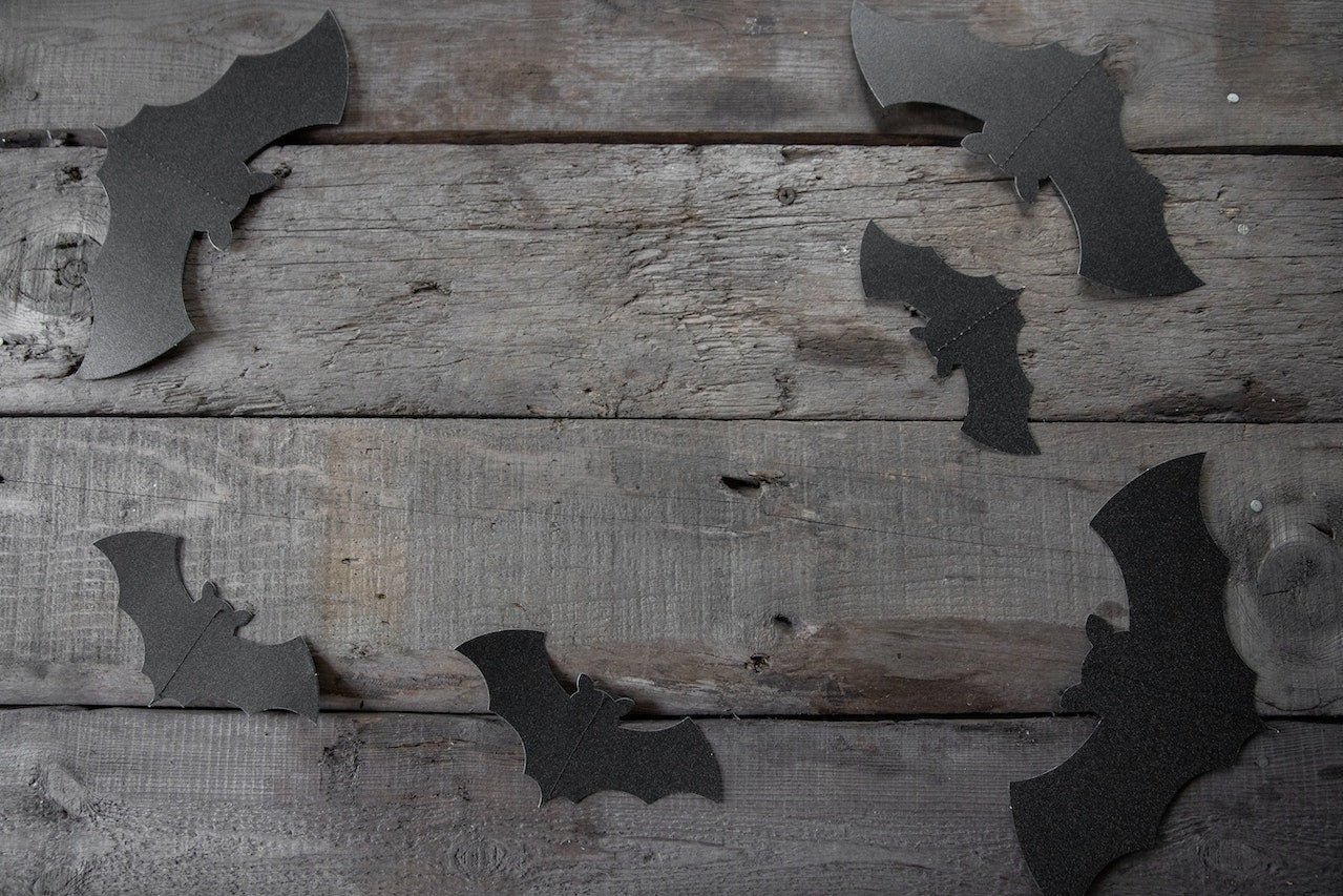 A Brief Guide to Building and Installing Bat Boxes