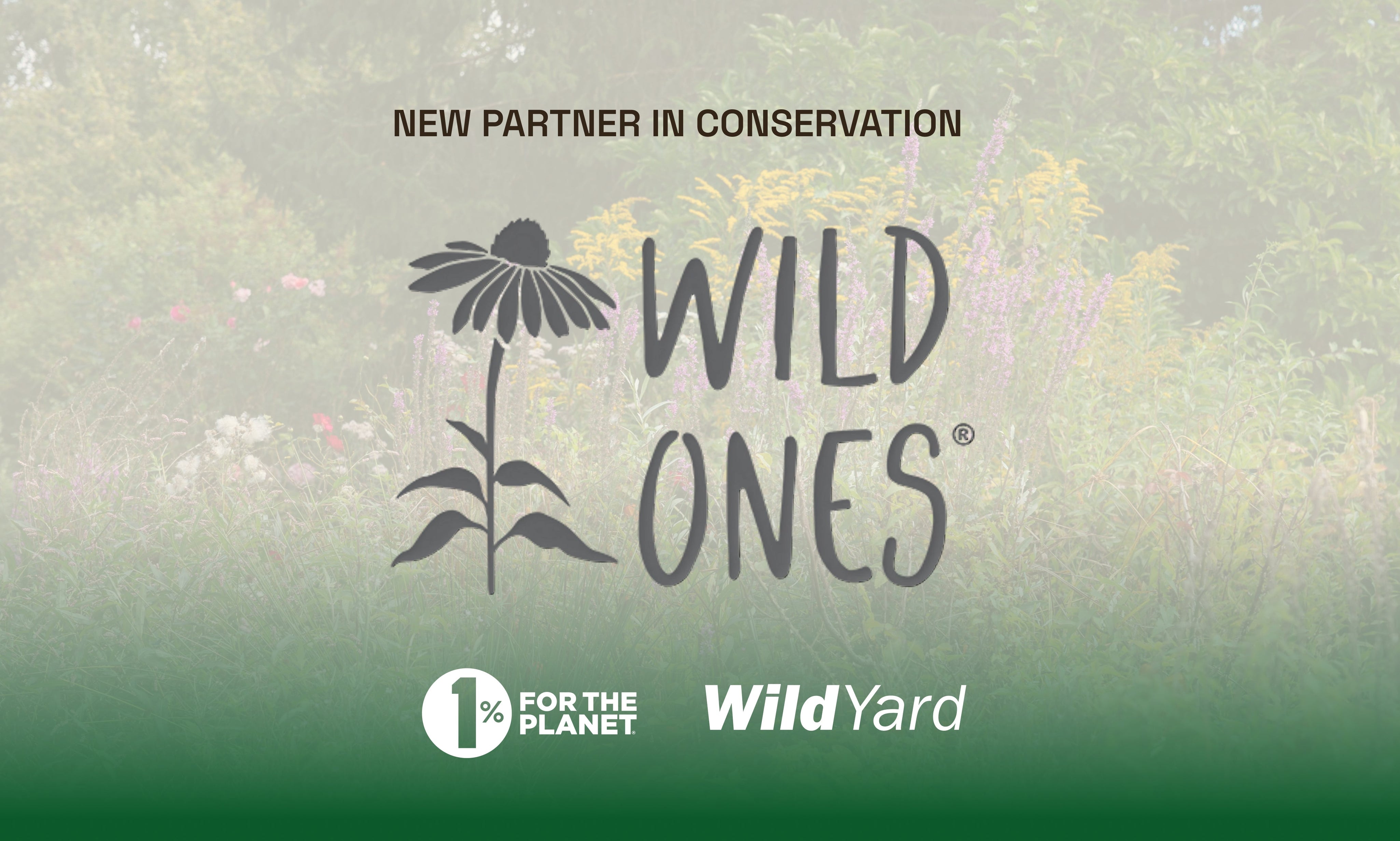Meet Wild Ones: the native-plant half of a backyard habitat