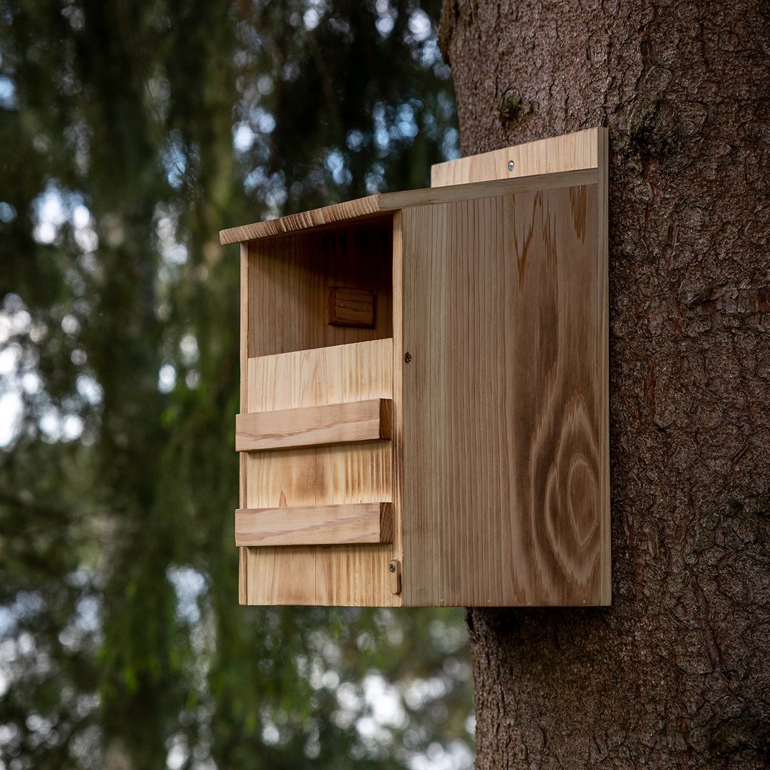 OWL BOXES