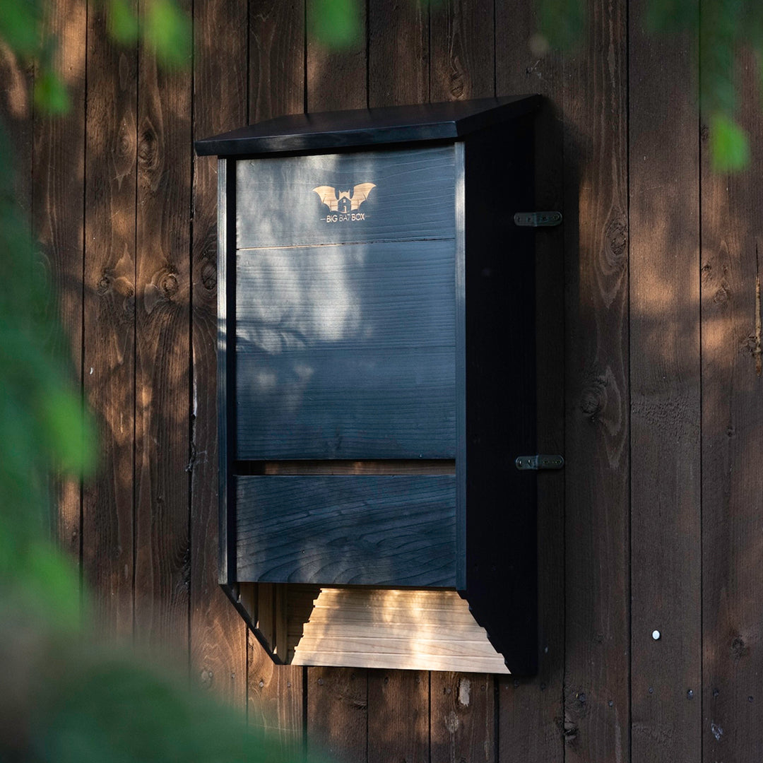 BAT HOUSES