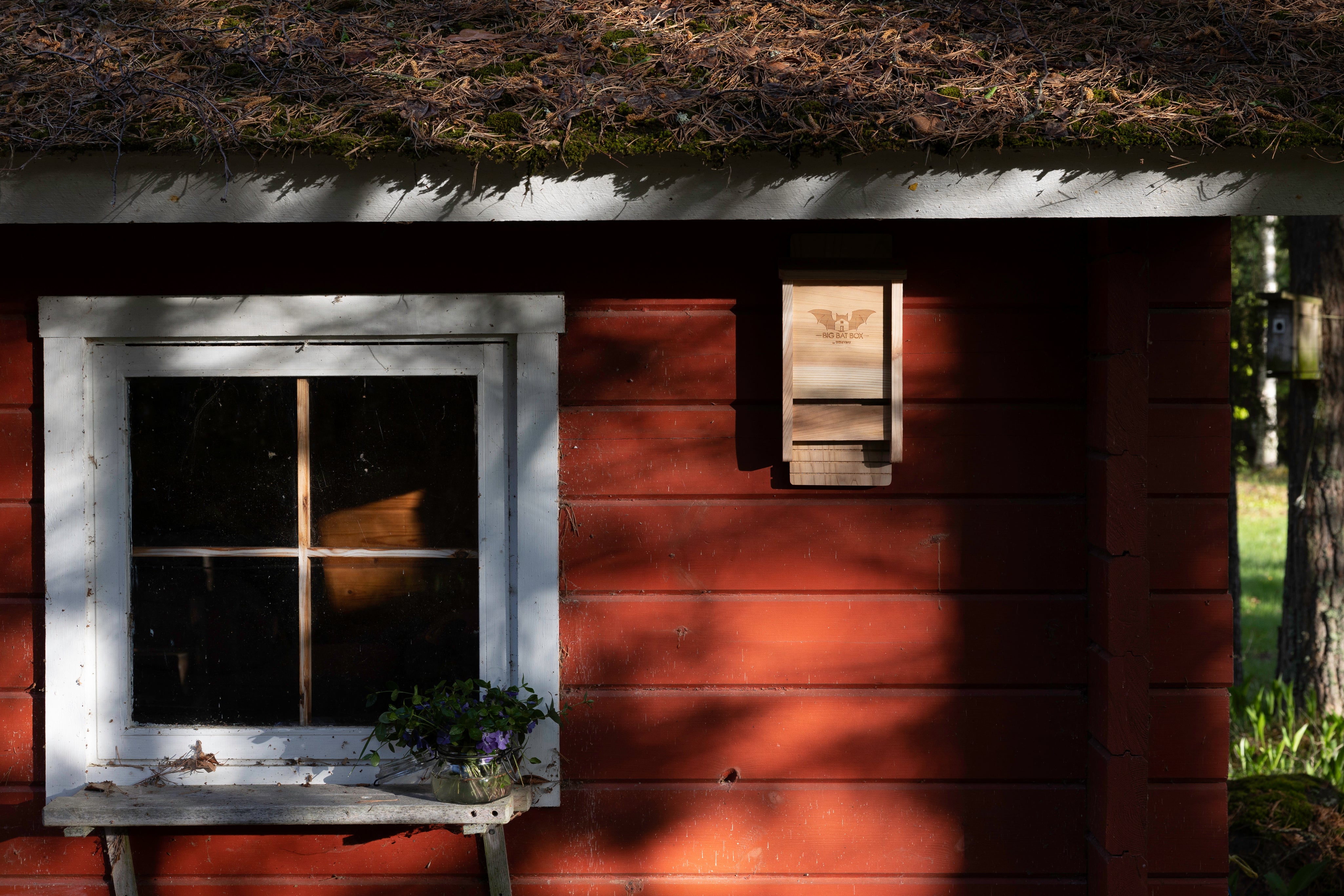 Wild yard Big bat box cedar