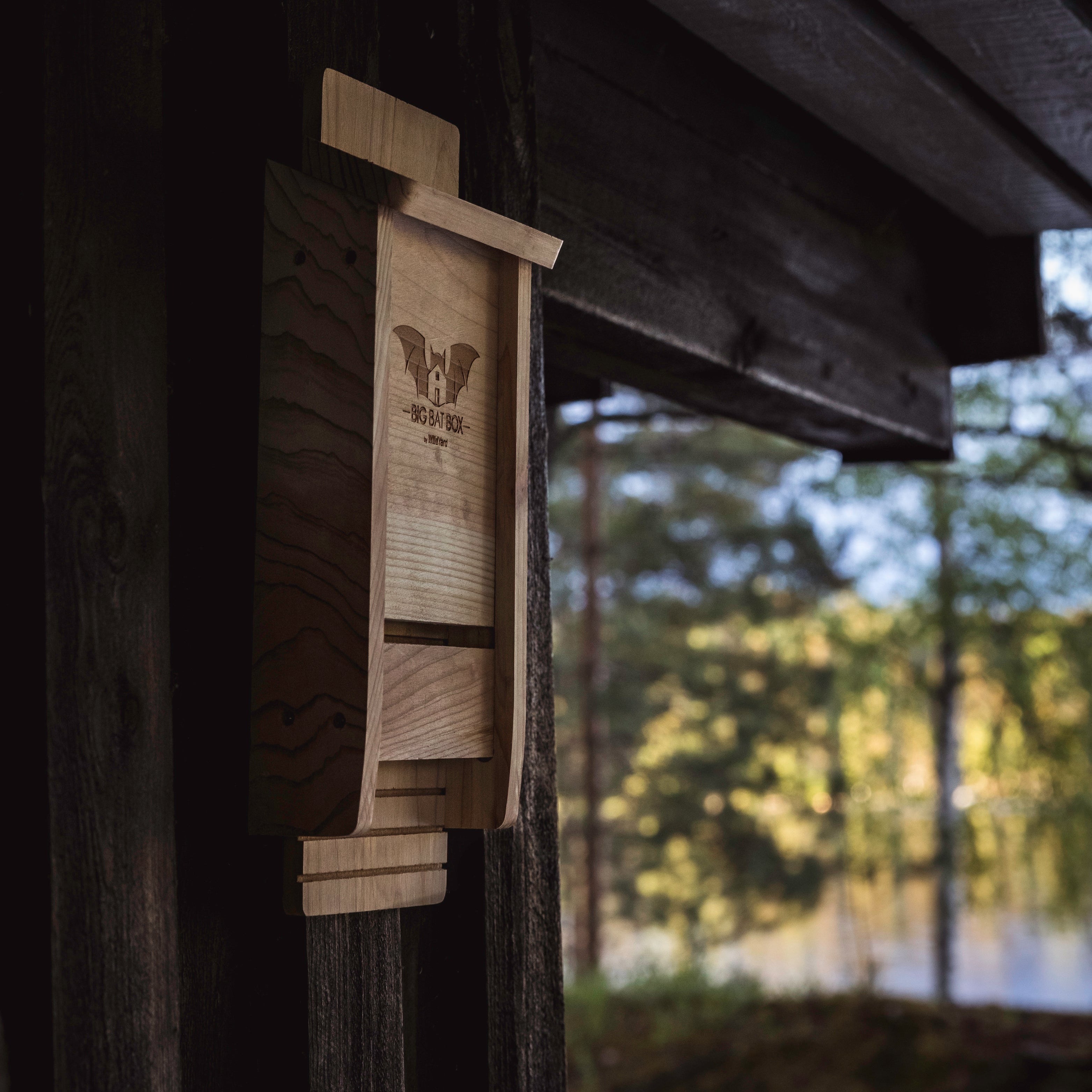 Cedar bat house attached to a house in the forest