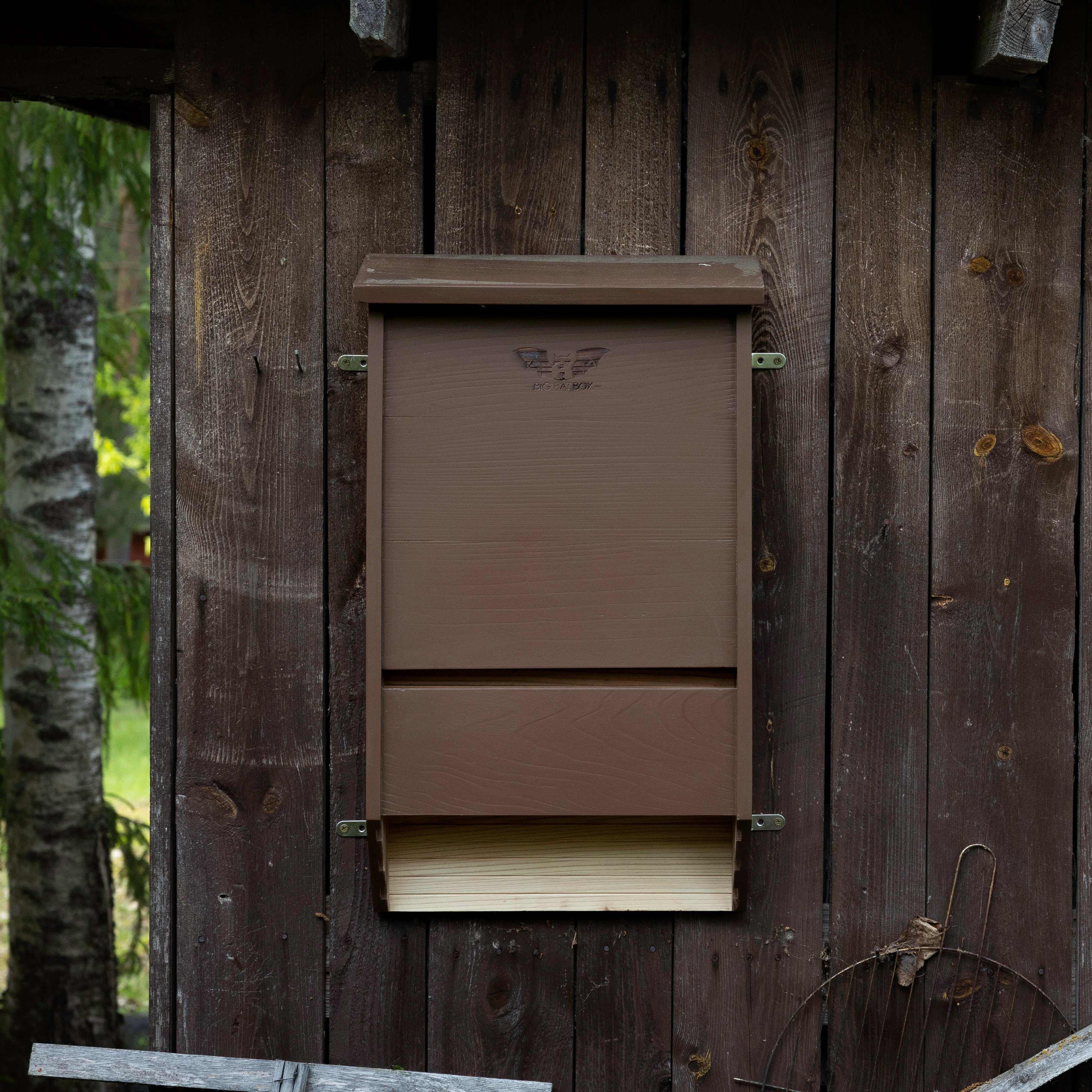 Three chamber brown cedar bat house mounted on wooden wall for natural pest control and year-round bat shelter