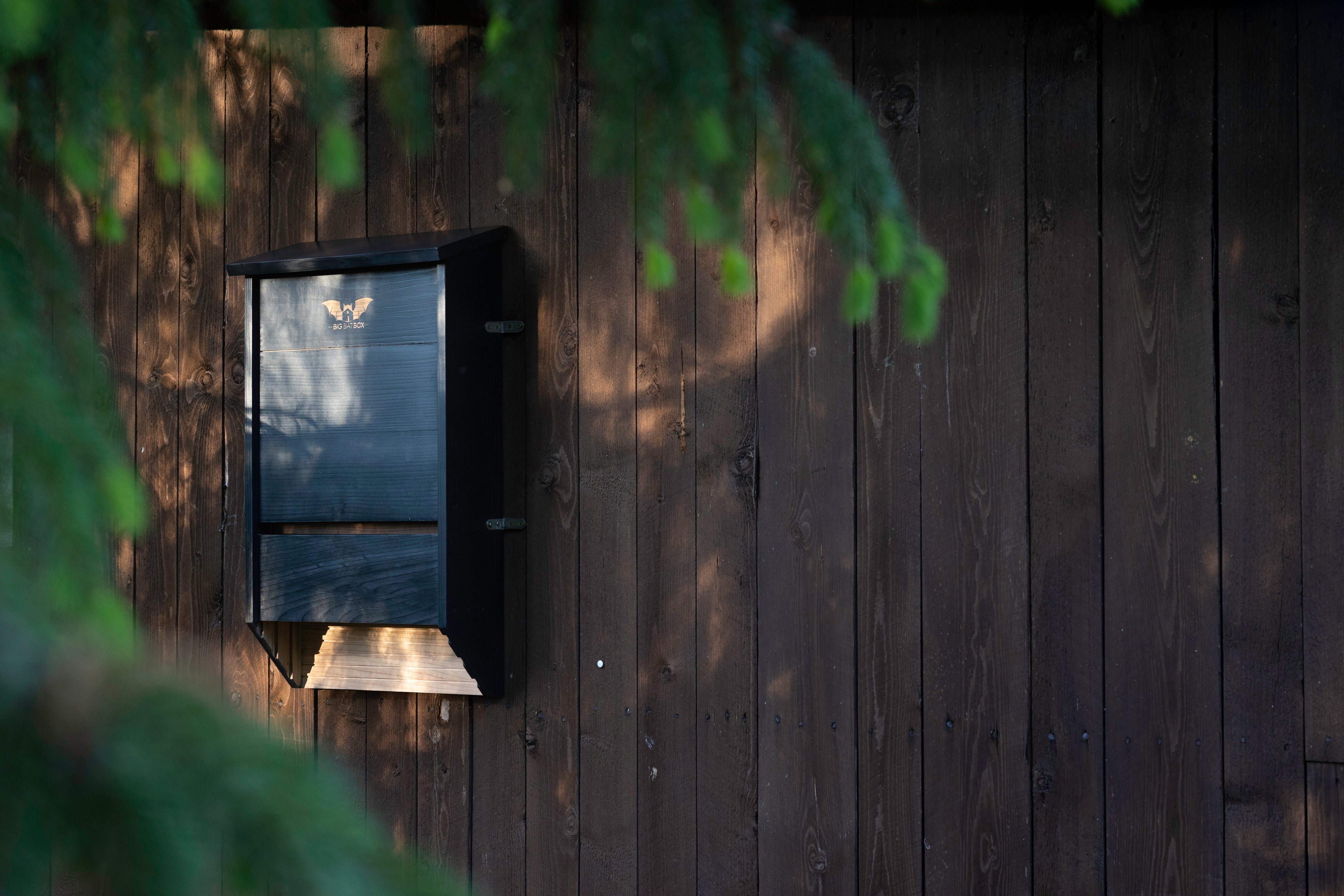 Wild yard Big bat box black