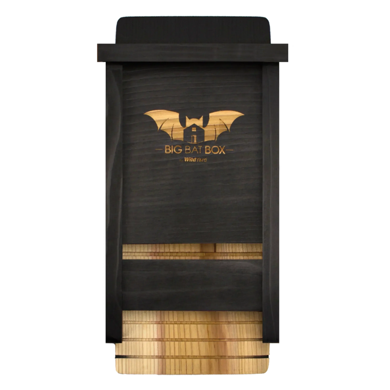 Black single chamber bat house, durable and weather-resistant, perfect for bat enthusiasts.