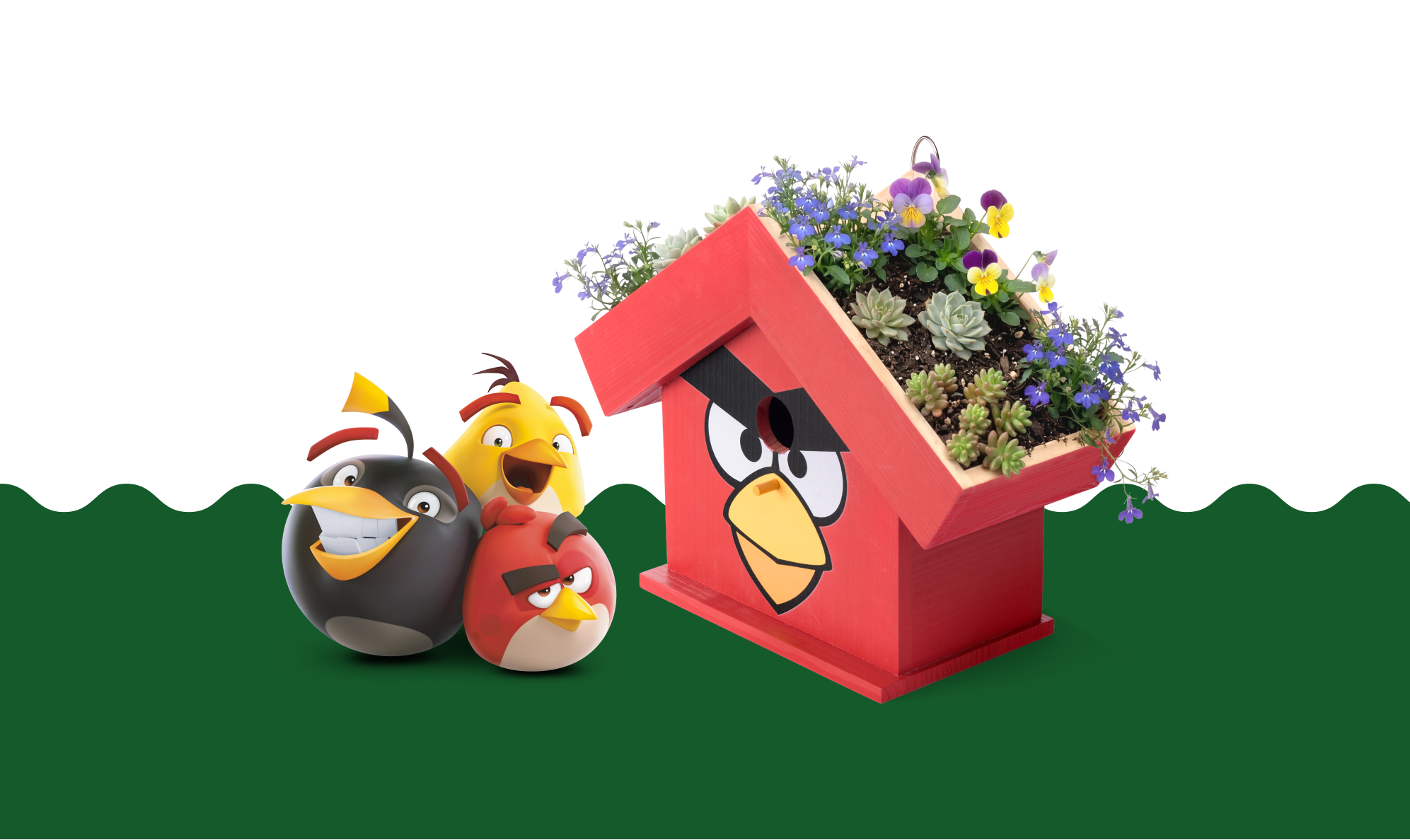 ANGRY-BIRDS-BANNER_1.png