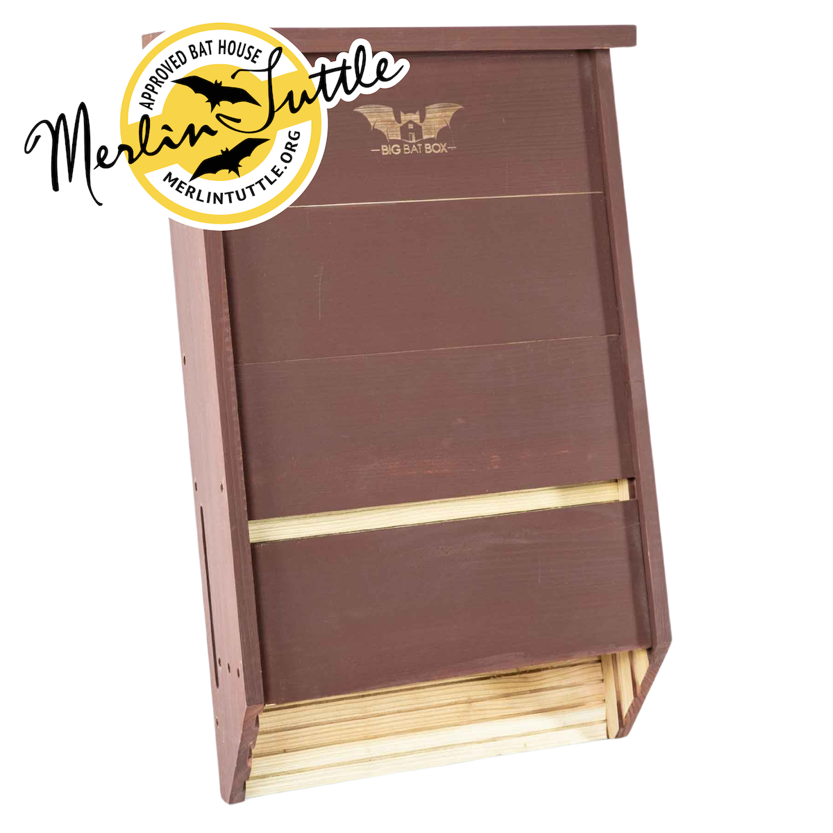 Big Bat Box - Amazing Software