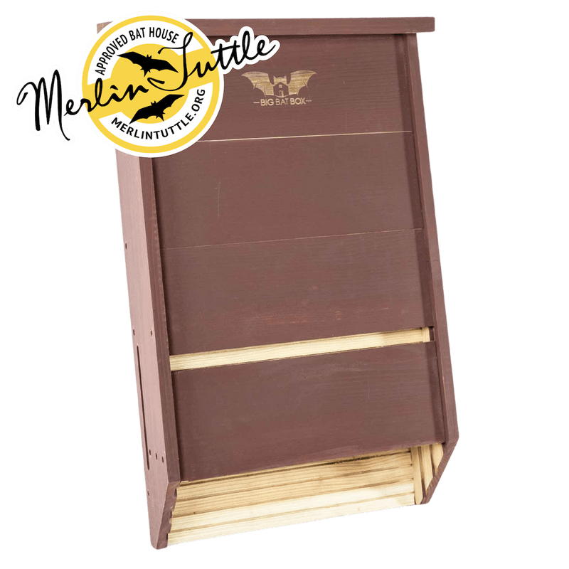 3 Chamber Bat Houses Merlin Tuttle's Bat Conservation Certified Big Bat Box