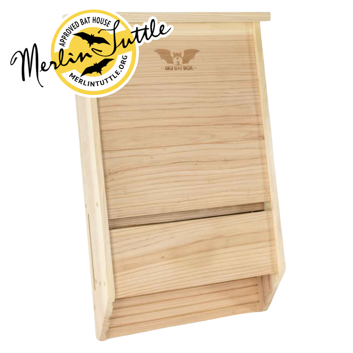 Big Bat Box - Amazing Software