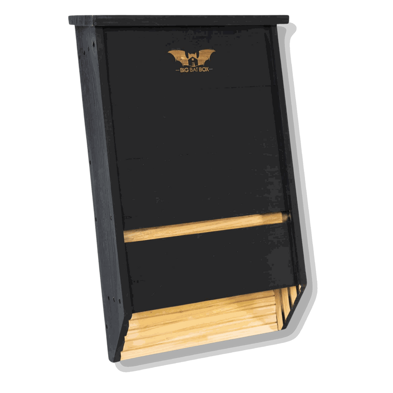 Three chamber black cedar bat house with large capacity and ventilated design for bat conservation