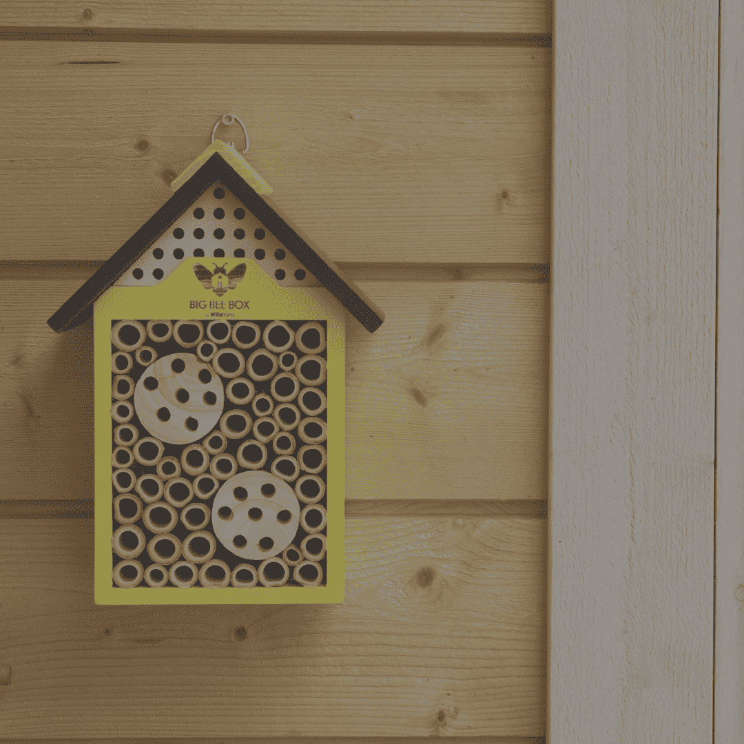 Bee_house_mobile_1.png