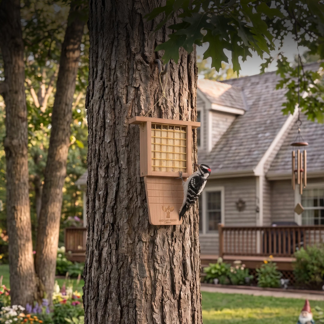 BIRD FEEDER
