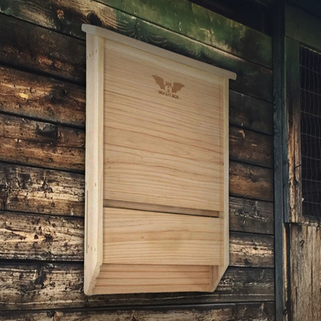 Cedar 3-chamber bat house mounted on a wooden wall