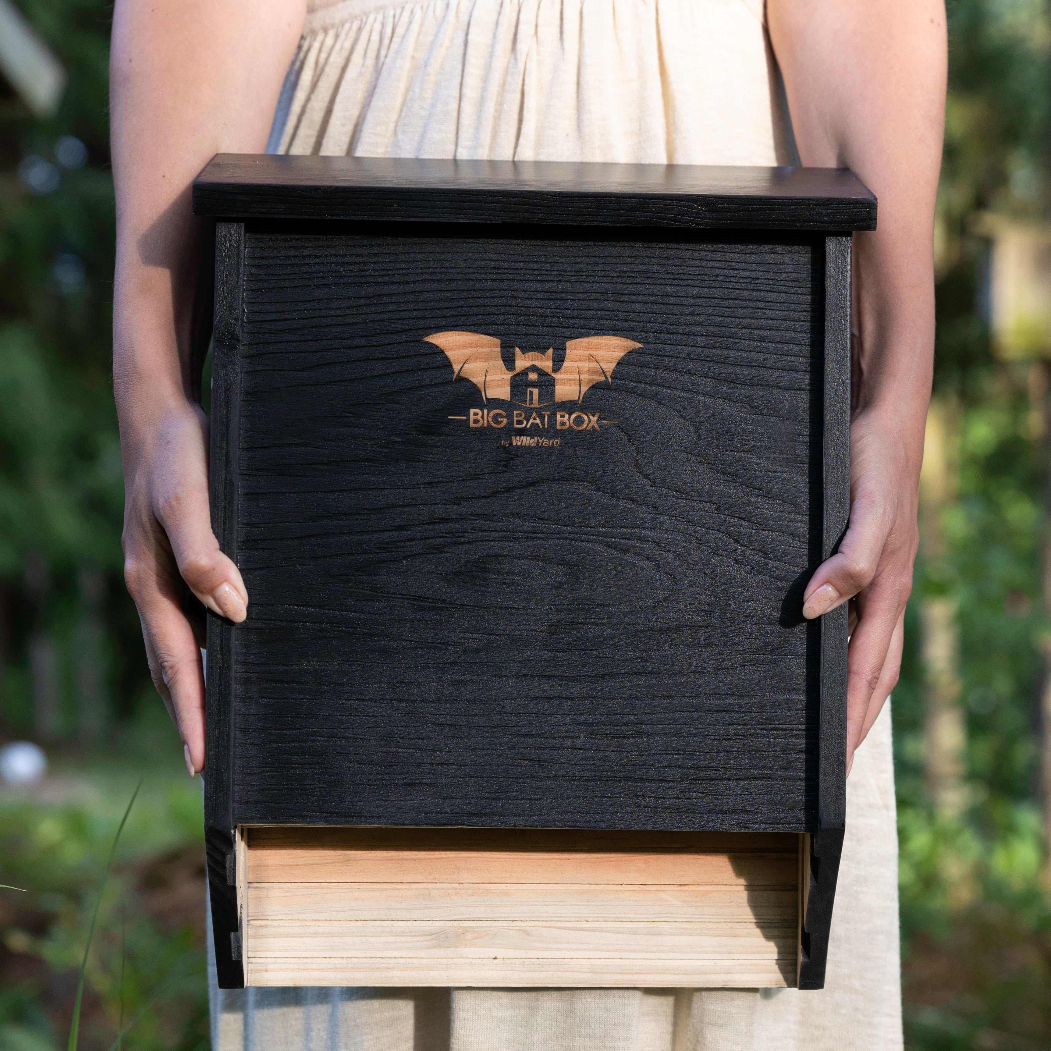 Big Bat Box double-chamber cedar bat house mounted outdoors