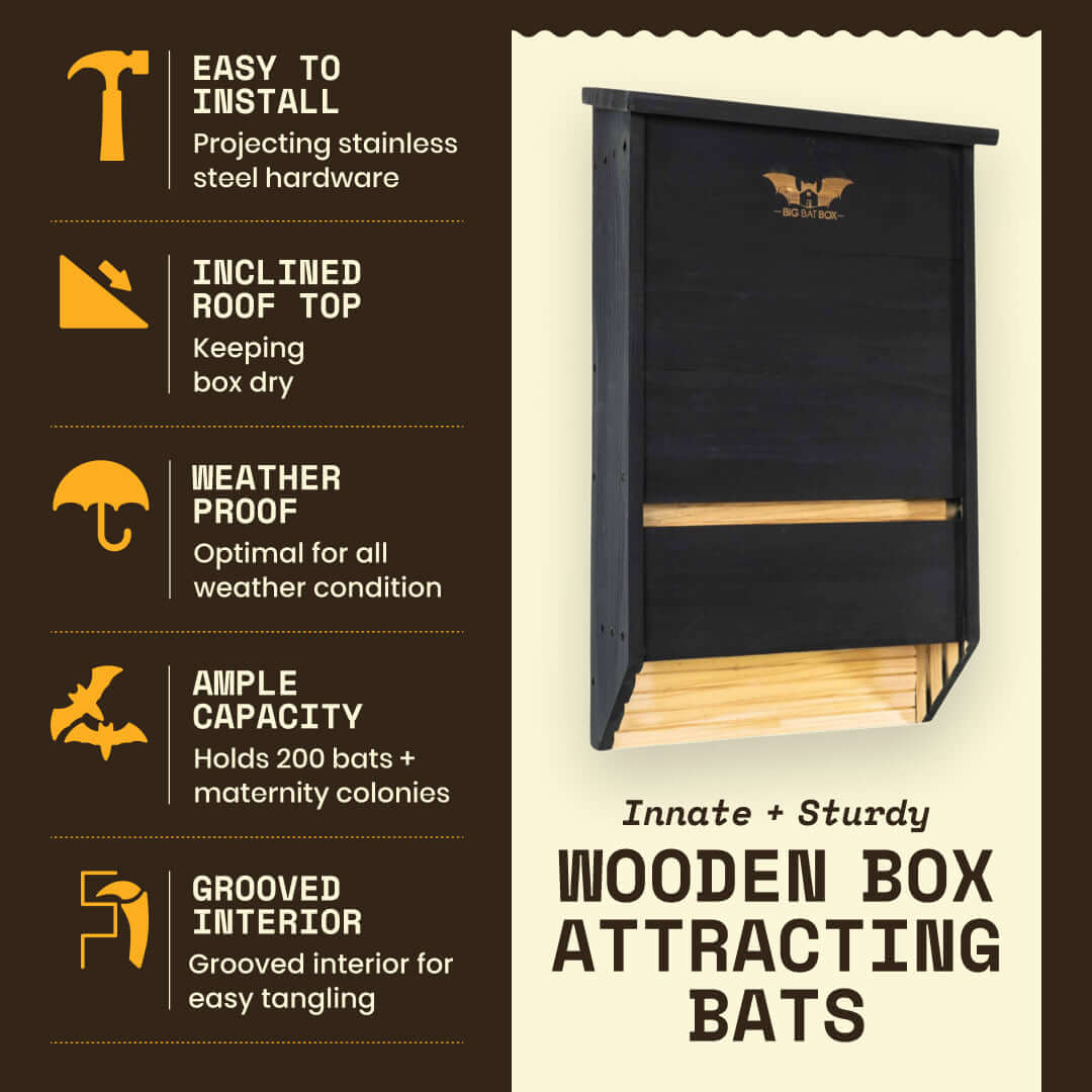 Three chamber black cedar bat house with weatherproof design, inclined roof, grooved interior, and capacity for 200 bats.