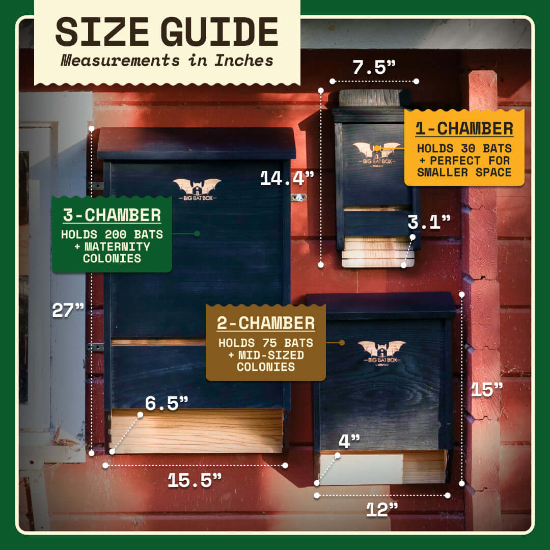 Three chamber black cedar bat house with large capacity for up to 200 bats and ventilated design for conservation