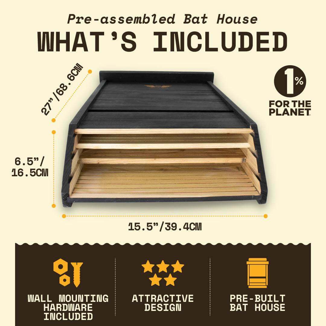 Three chamber black cedar bat house with wall mounting hardware and pre-built design for bat conservation