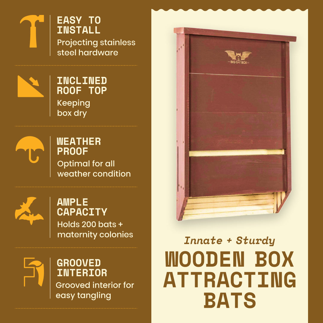 Three Chamber Bat House in brown, handcrafted from red cedar, weather-resistant bat box for 200 bats.