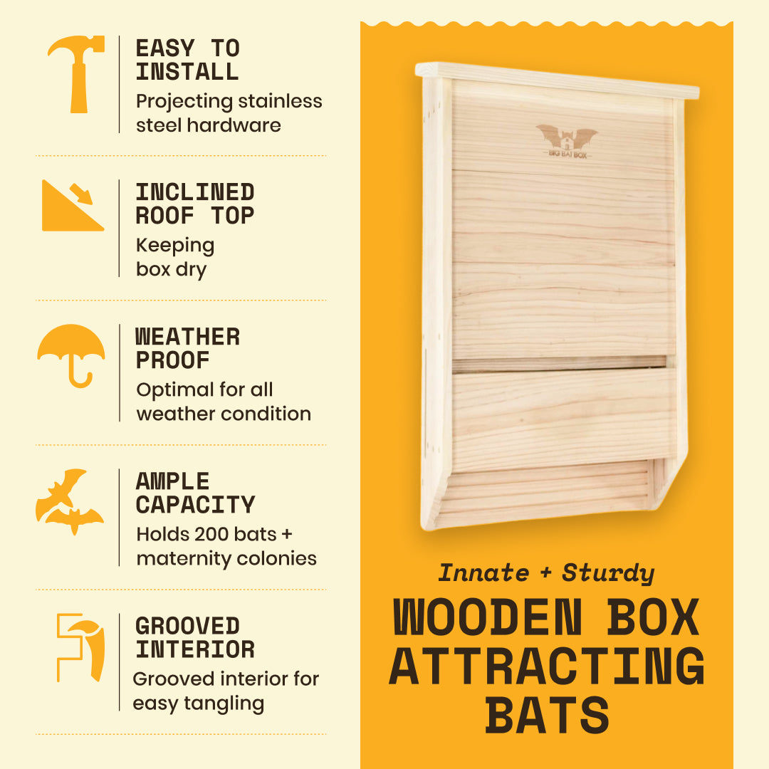 Bat House Benefits