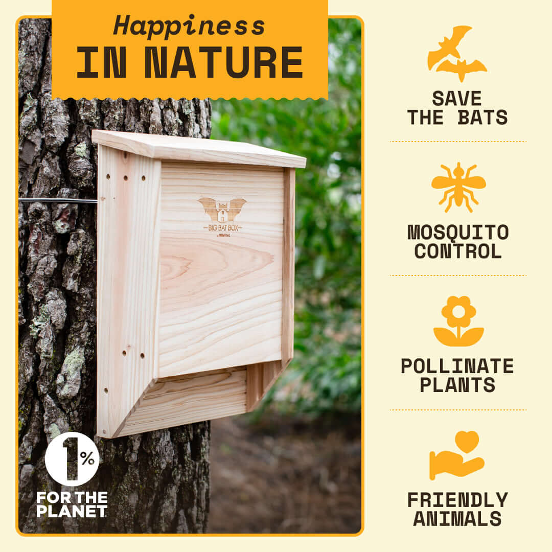 How the Bat House helps ecosystems and the natural environment