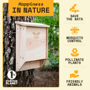 How the Bat House helps ecosystems and the natural environment