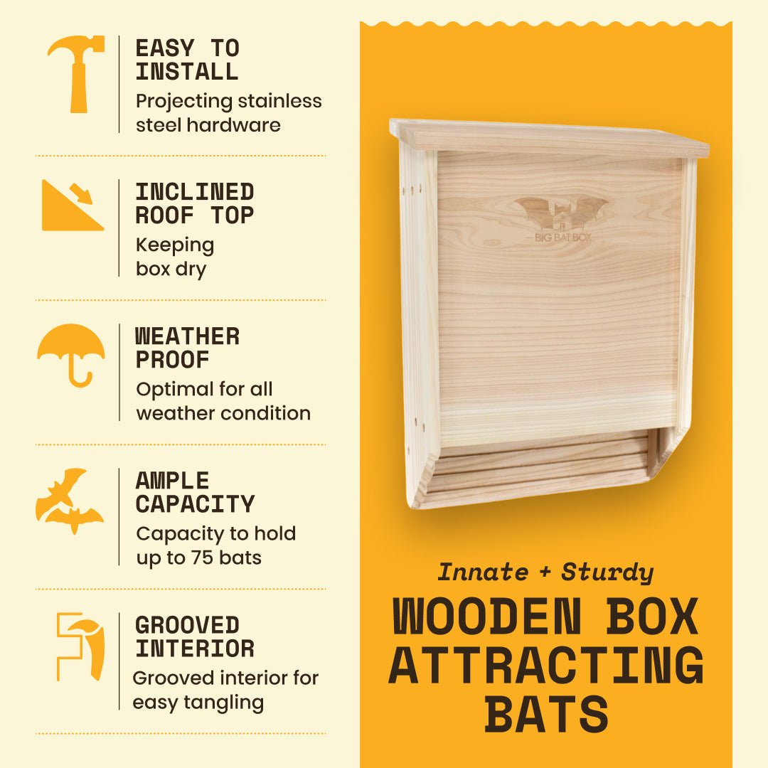Eco-friendly double chamber bat house in cedar, handcrafted from cedar wood, holds 75 bats, weatherproof, protects from predators.
