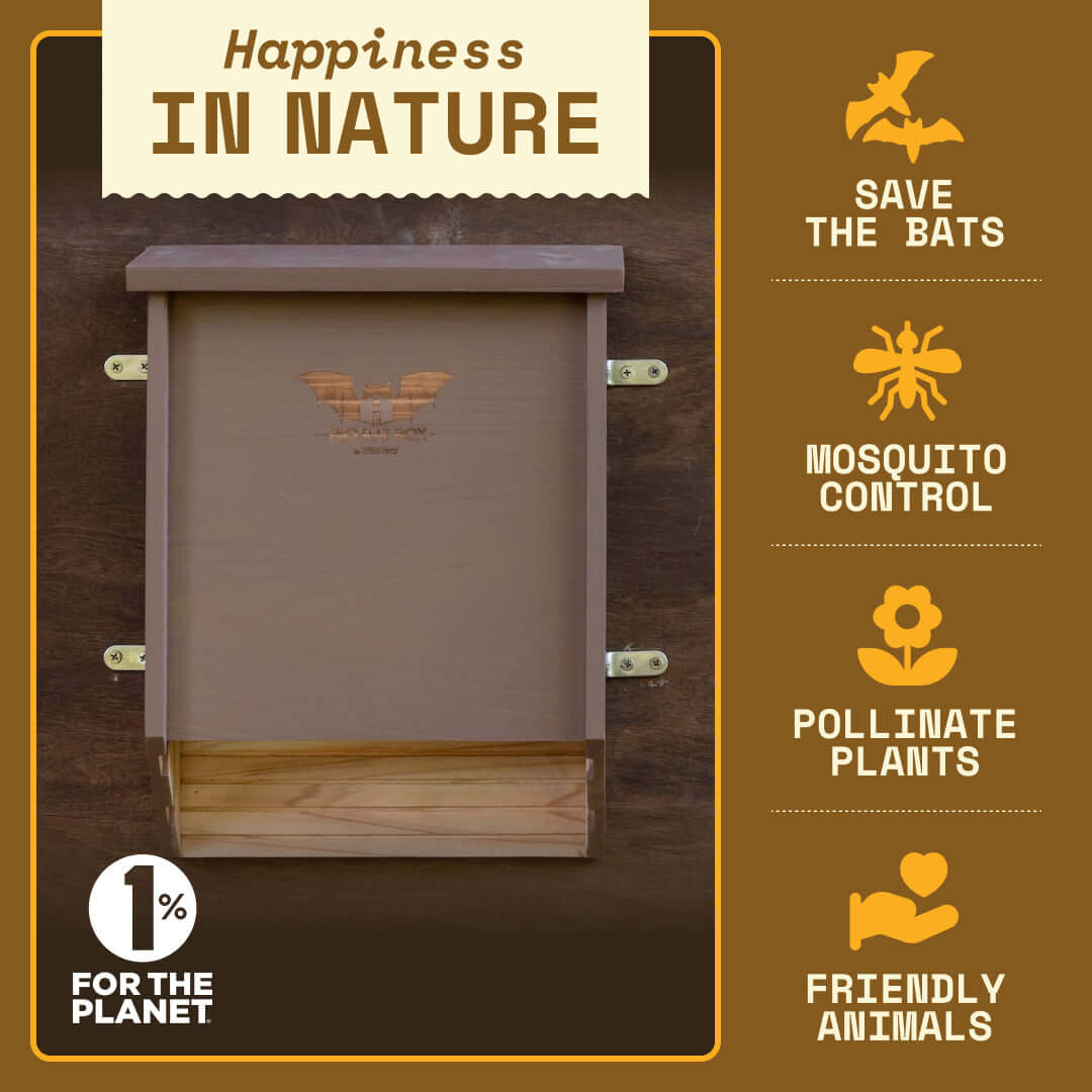 How the Bat House helps ecosystems and the natural environment