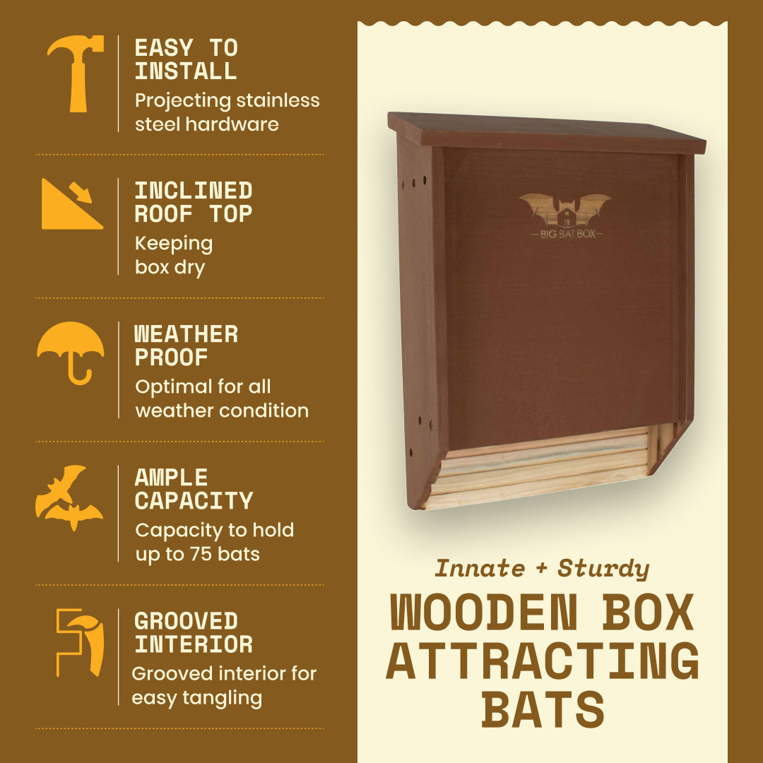 Eco-friendly double chamber bat house in brown, handcrafted from cedar wood, holds 75 bats, weatherproof, protects from predators.